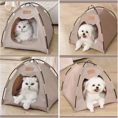 Zoomtopia Tente tipi pouranimaux de compagnie