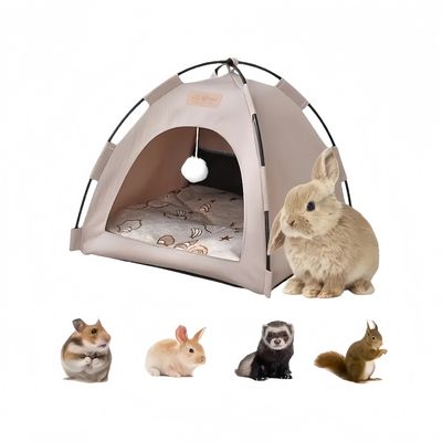 Zoomtopia Tente tipi pouranimaux de compagnie