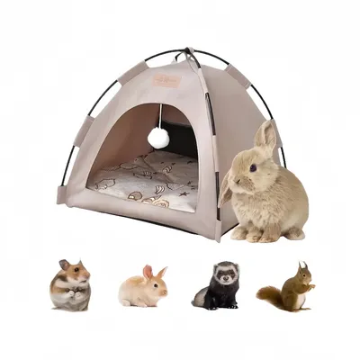 Zoomtopia Tente tipi pouranimaux de compagnie