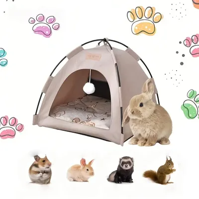 Zoomtopia Tente tipi pouranimaux de compagnie