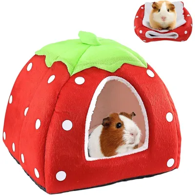 Zoomtopia Maison pour cochon d'Inde Zoomtopia Maison pour cochon d'Inde