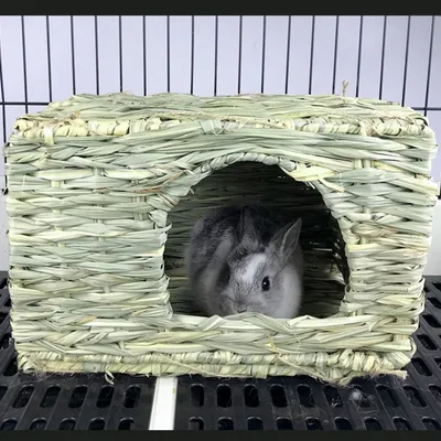 Zoomtopia Maison de lapin en rotin