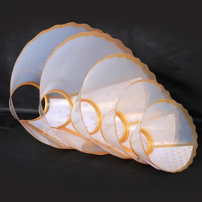 Zoomtopia Collier de convalescence pour chiens et chats