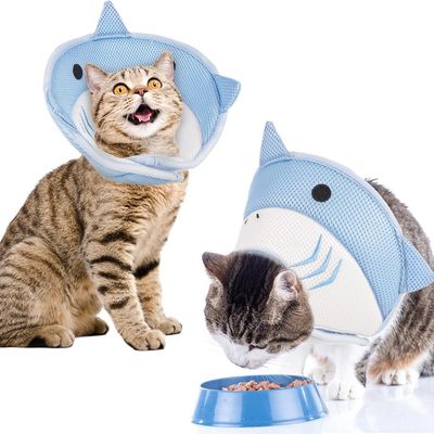 Pawzy Motif de requin circulaire élisabéthain pour chat et chien
