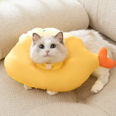 Zoomtopia Collier anti-léchage pour chat