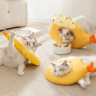 Zoomtopia Collier anti-léchage pour chat