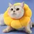 Pawzy Collier de protection pour chat