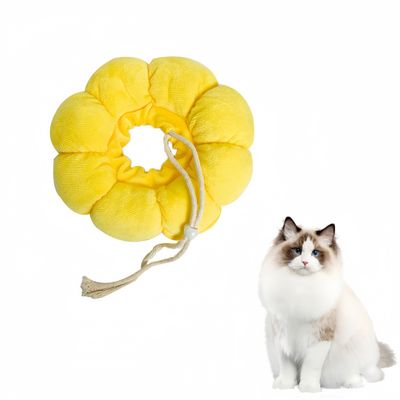 Pawzy Collier de protection pour chat