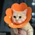 Zoomtopia Collier de protection pour animaux de compagnie