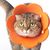 Zoomtopia Collier de protection pour animaux de compagnie