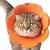 Zoomtopia Collier de protection pour animaux de compagnie Zoomtopia Collier de protection pour animaux de compagnie
