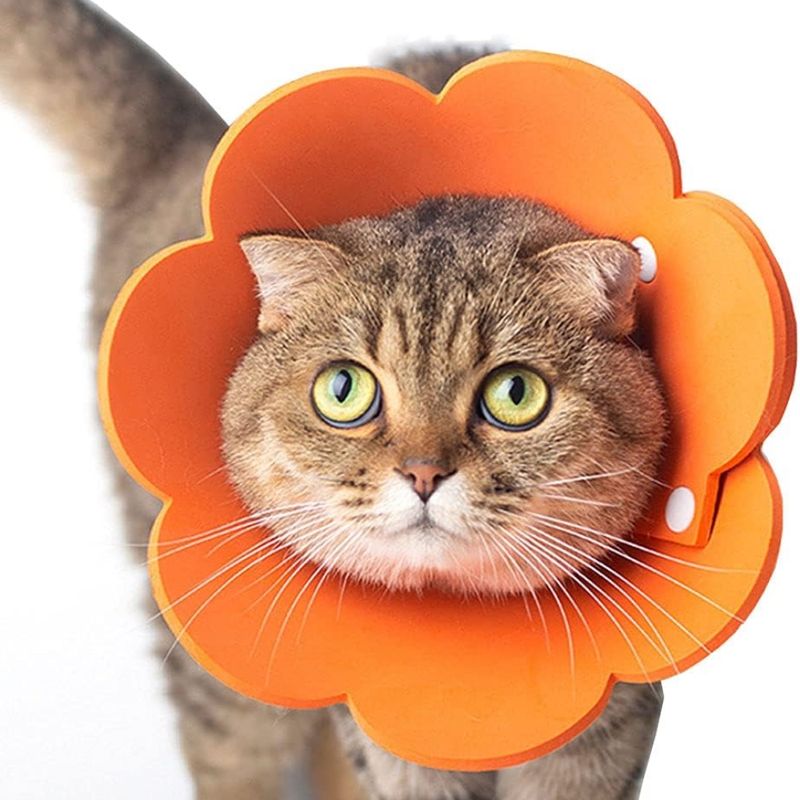 Zoomtopia Collier de protection pour animaux de compagnie