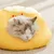 Zoomtopia Collier anti-léchage pour chat
