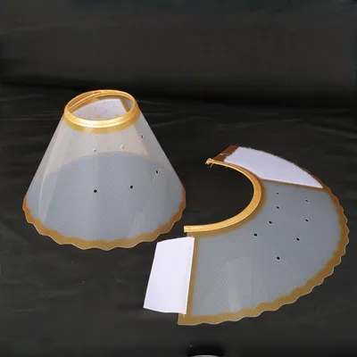 Zoomtopia Collier de convalescence pour chiens et chats