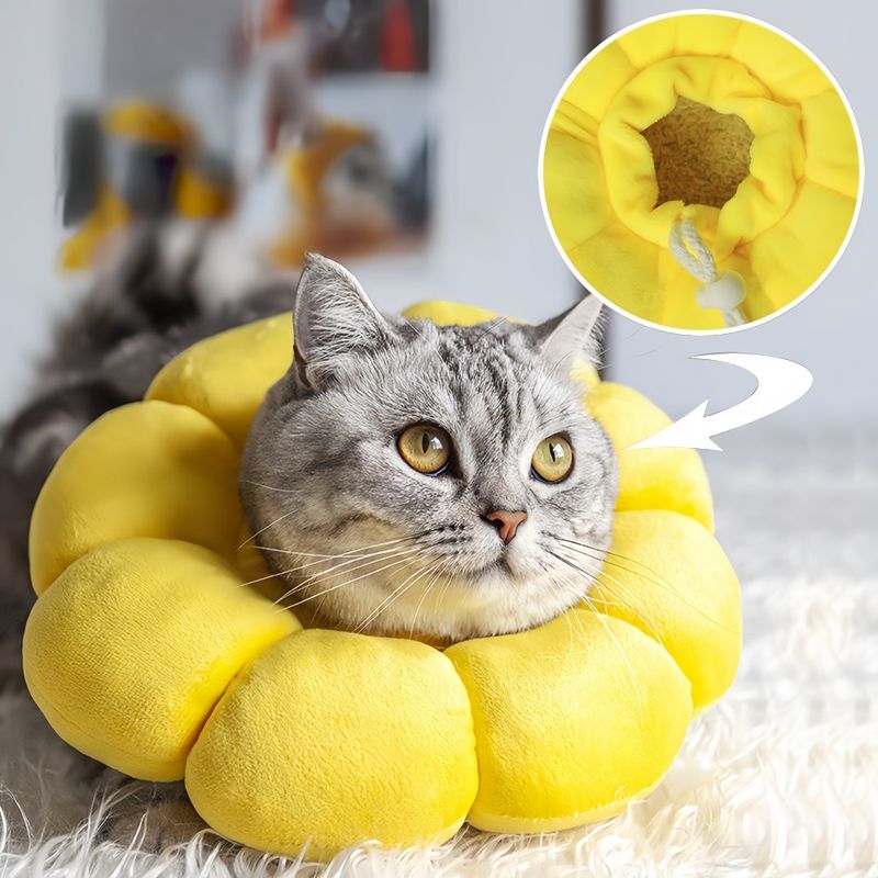 Pawzy Collier de protection pour chat