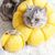 Pawzy Collier de protection pour chat