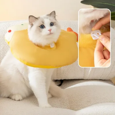 Zoomtopia Collier anti-léchage pour chat