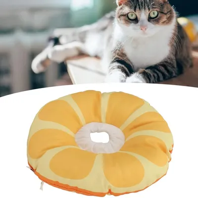 Pawzy Collier élisabéthain réglable pour chat et chien