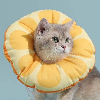 Pawzy Collier élisabéthain réglable pour chat et chien
