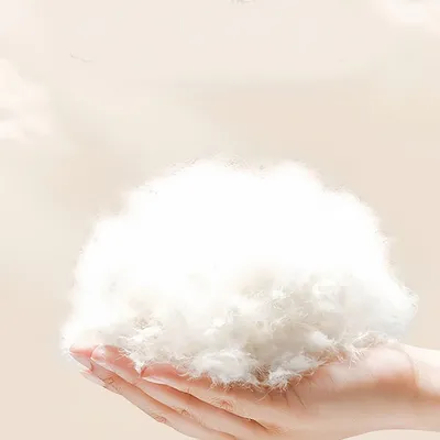 Pawzy Collier élisabéthain réglable pour chat et chien