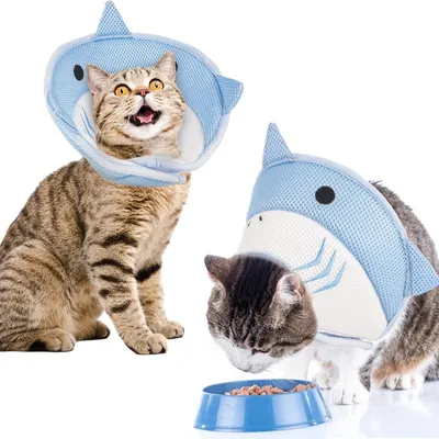 Pawzy Motif de requin circulaire élisabéthain pour chat et chien