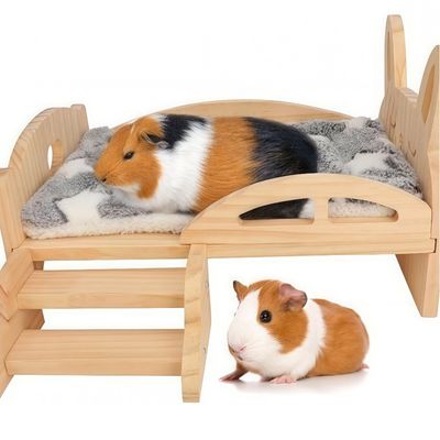 Zoomtopia Logement en bois pour cochon d'Inde et autres petits animaux