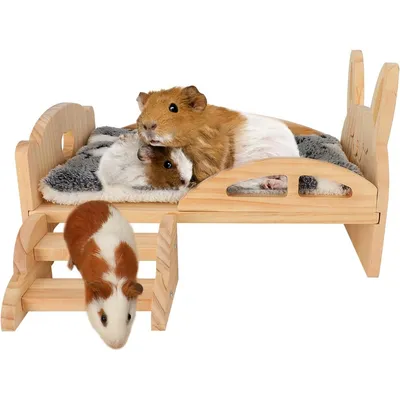 Zoomtopia Logement en bois pour cochon d'Inde et autres petits animaux