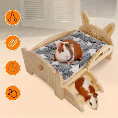 Zoomtopia Logement en bois pour cochon d'Inde et autres petits animaux