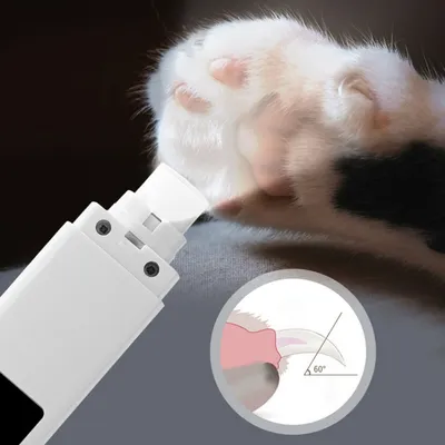 Zoomtopia Coupe ongles électrique rechargeable pour animaux