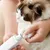 Zoomtopia Coupe ongles électrique rechargeable pour animaux