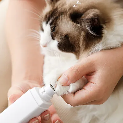 Zoomtopia Coupe ongles électrique rechargeable pour animaux