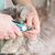Zoomtopia Tondeuses à ongles pour animaux de compagnie avec lumière LED