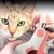 Pawzy Coupe - Ongles à LED pour chats et chiens Pawzy Coupe - Ongles à LED pour chats et chiens