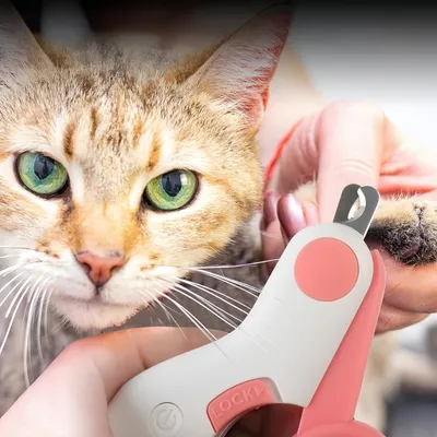 Pawzy Coupe - Ongles à LED pour chats et chiens Pawzy Coupe - Ongles à LED pour chats et chiens