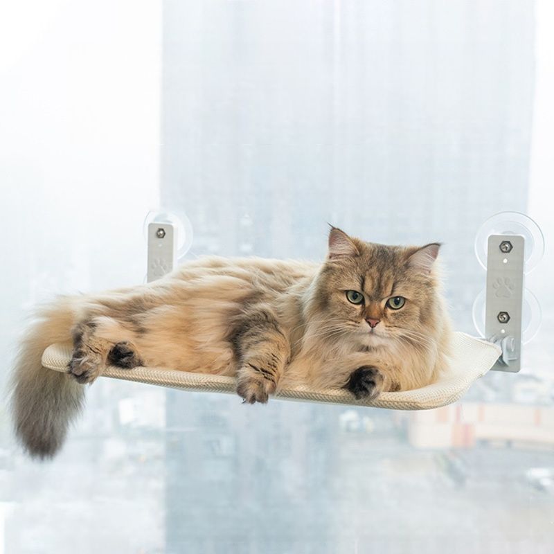 Zoomtopia Lit de fenêtre pliable pour chat