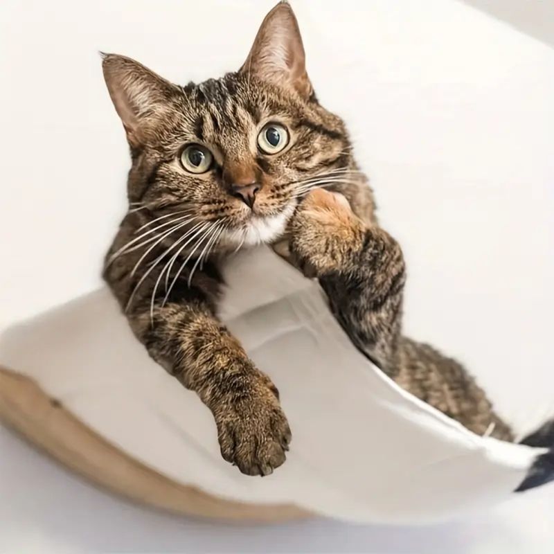 Zoomtopia Hamac mural pour chat
