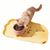 FurryFusion Sets de table antidérapants pour animaux de compagnie