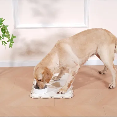 Zoomtopia Tapis d'alimentation pour animaux de compagnie
