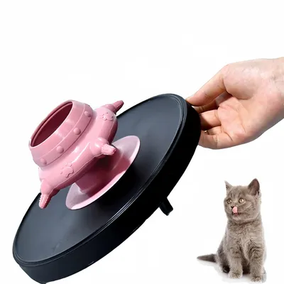 Pawzy Fontaine à eau pour chiots et chatons