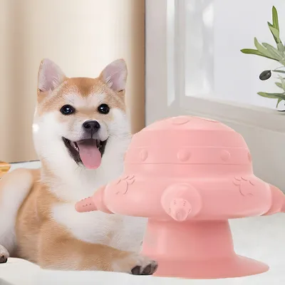 Pawzy Fontaine à eau pour chiots et chatons