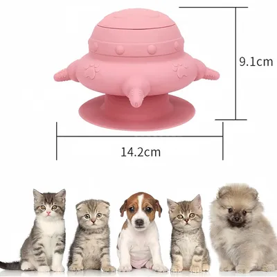Pawzy Fontaine à eau pour chiots et chatons