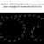 Zoomtopia Corde de traction pour chien