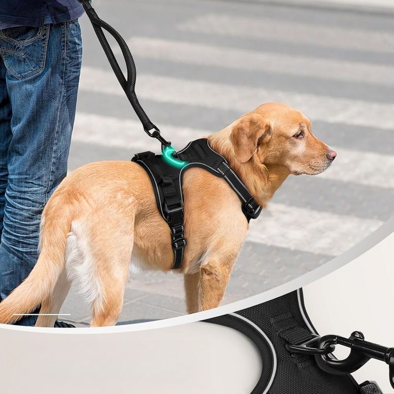 Zoomtopia Harnais pour grand chien