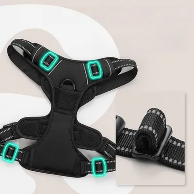 Zoomtopia Harnais pour grand chien