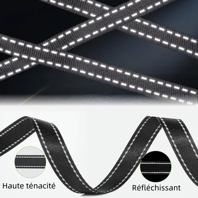 Zoomtopia Laisse rétractable pour chien