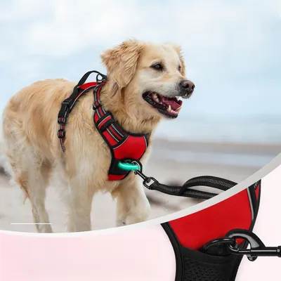 Zoomtopia Harnais pour grand chien