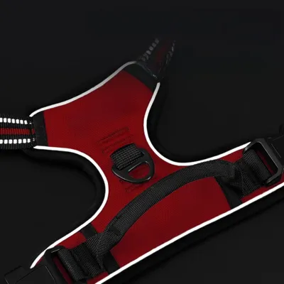 Zoomtopia Harnais pour grand chien