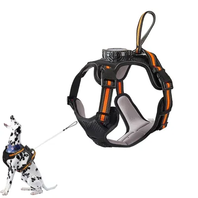 Zoomtopia Harnais de traction rétractable pour chien