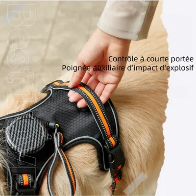 Zoomtopia Harnais de traction rétractable pour chien