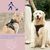 Zoomtopia Harnais de traction rétractable pour chien